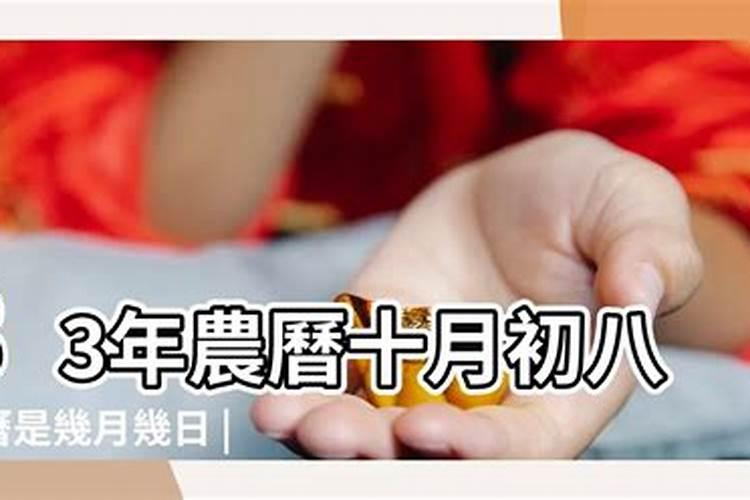 元旦的资料