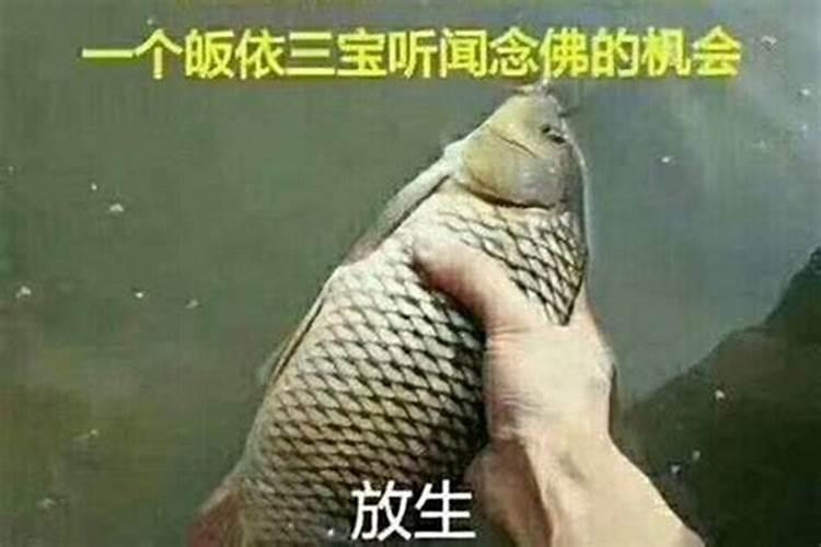 生肖虎1974年2025年运势如何 生肖虎1974年2025年全年运势