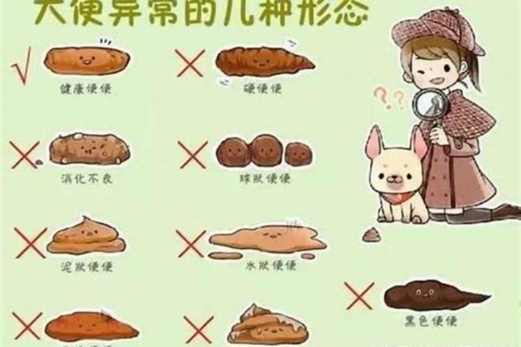 87年属兔的会在哪一年离婚