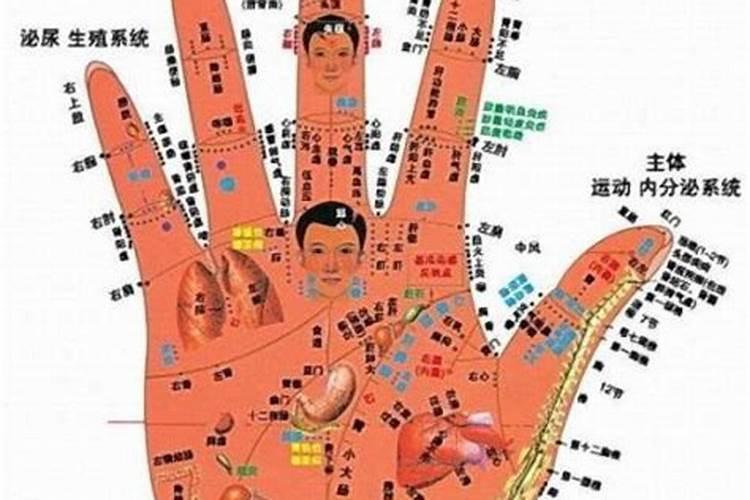 算卦怎么自学手指