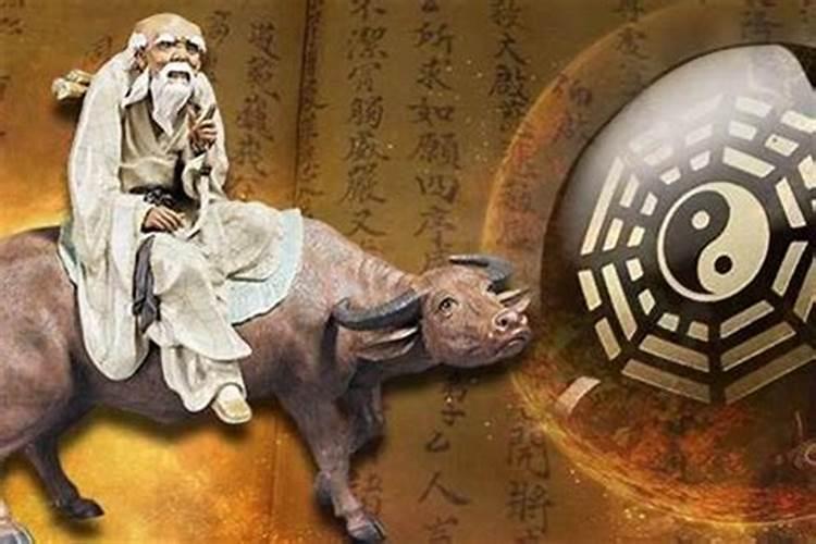 2025年属猪的全年运势