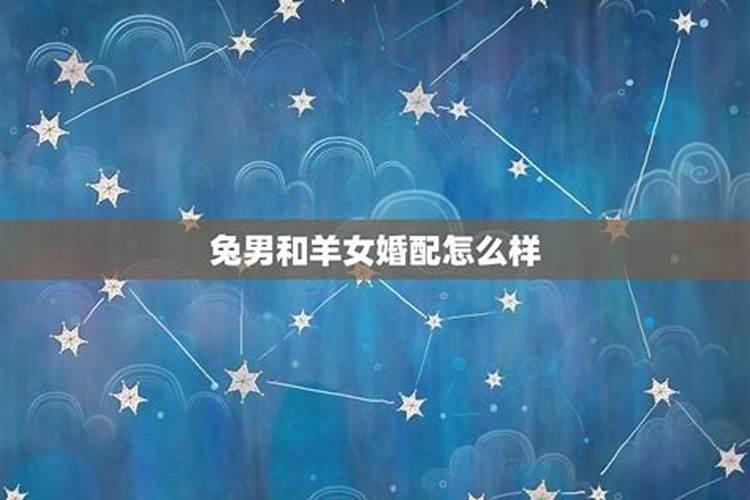 男兔跟女羊属相合不合,男兔女羊两人属像是相克吗