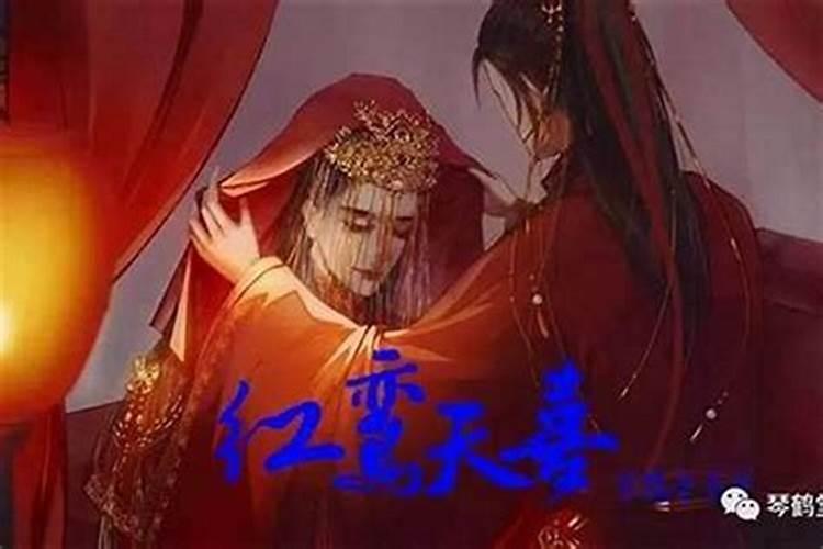 梦见被猫咬住胳膊和腿不放的预兆