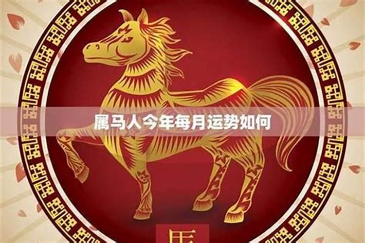 65的蛇在2025年运势