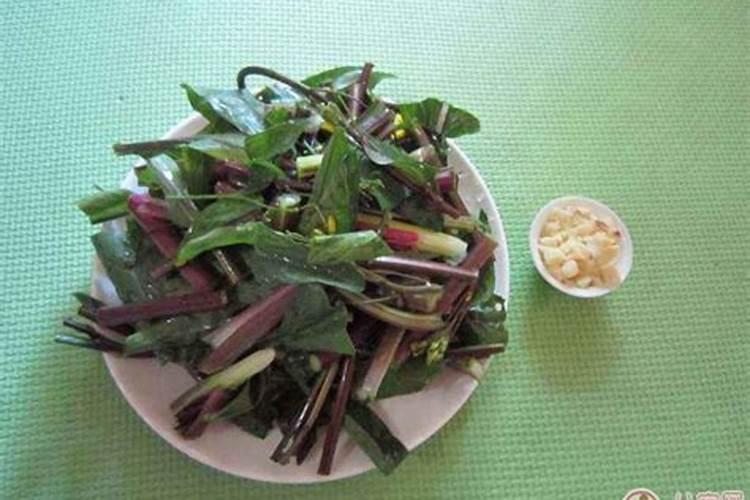 梦见菜苔的预兆