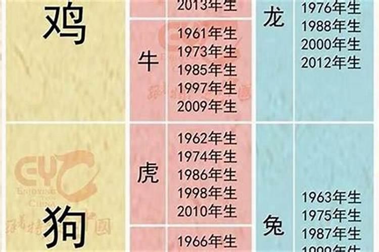 1983年猪2025年的全年运势及月运