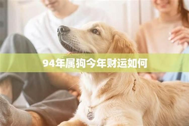 83年属猪人2025年有何劫难