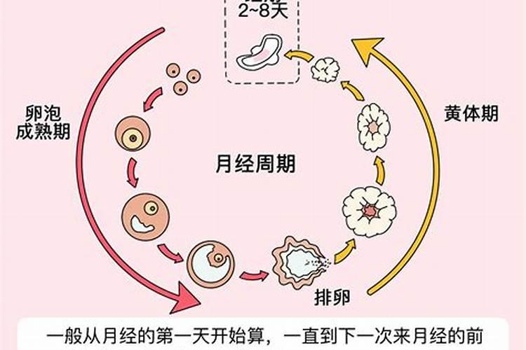 农历三月十五出生的人是什么命