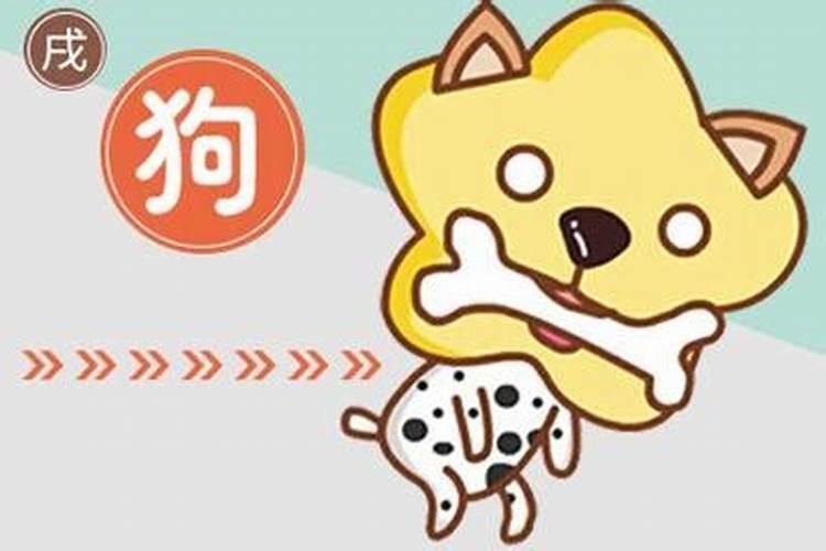 2025属鼠的几月有一难 属鼠的人干什么最挣钱