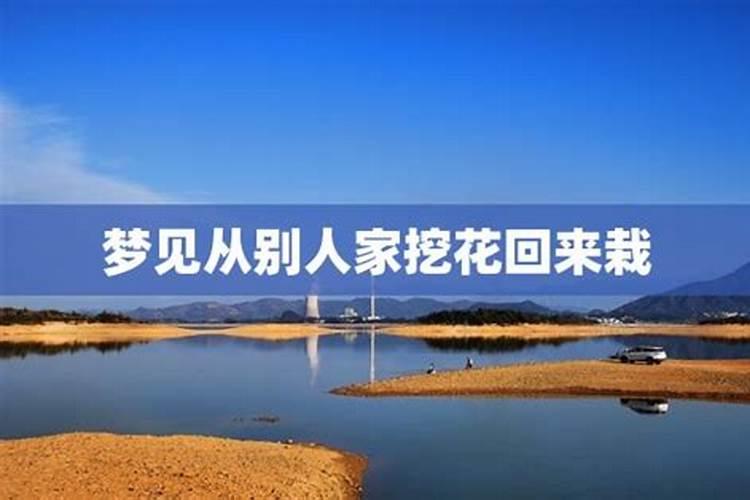 八卦的八字怎么读？