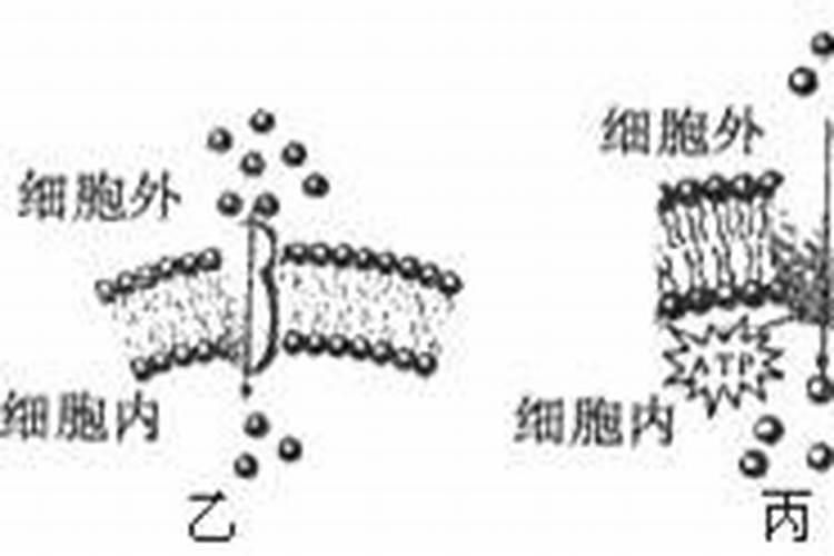 转运有什么方法有哪些