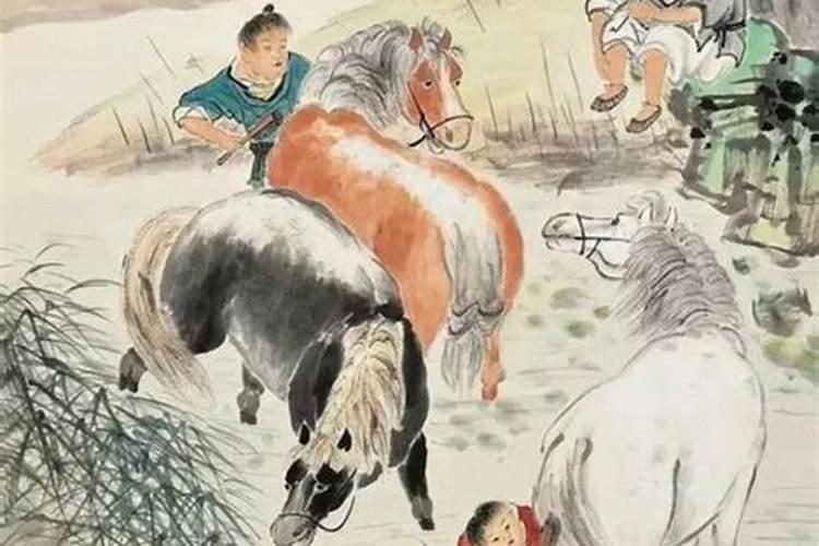 男牛女马为何说是绝配