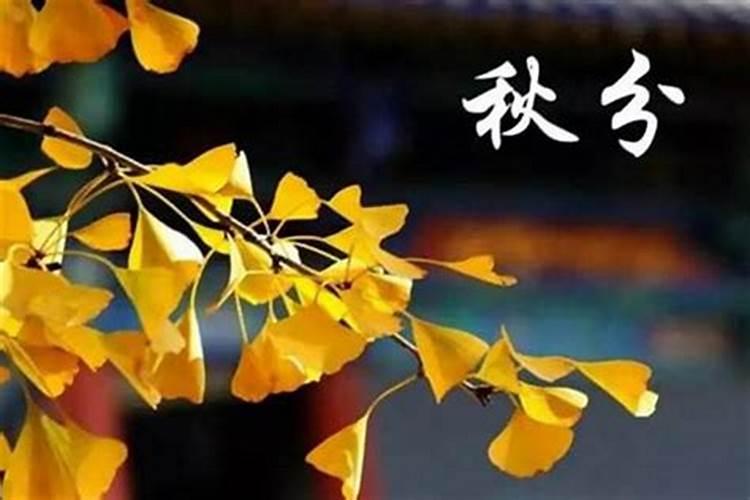 女。1995年农历8月14日下午6点30分生辰八字算命财运。感情。吉祥物百...