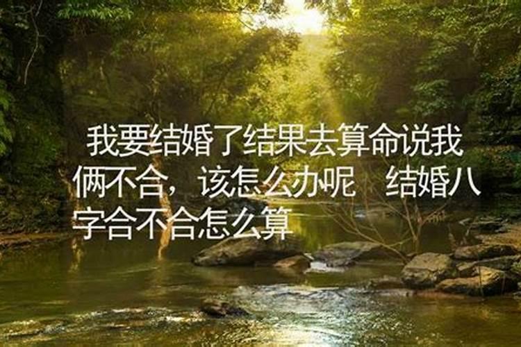属牛人2025年每月运势及运程详解