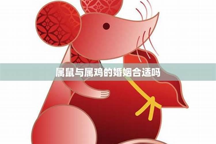 1981年属鸡的男与1984年属鼠的女婚姻相配吗？