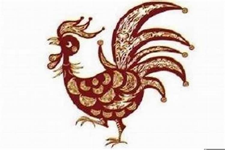 五月属龙的命运如何