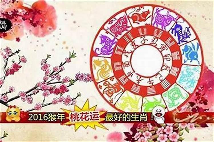 属蛇人出生日的命运属蛇每日出生的人命运