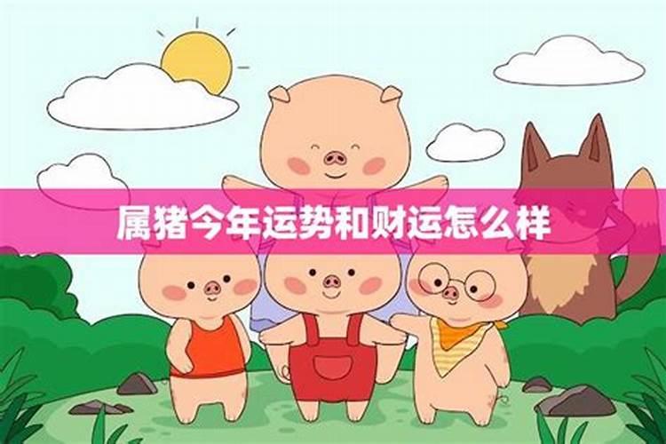 属猪人出生在哪几个月份是“破月”？七月犯月