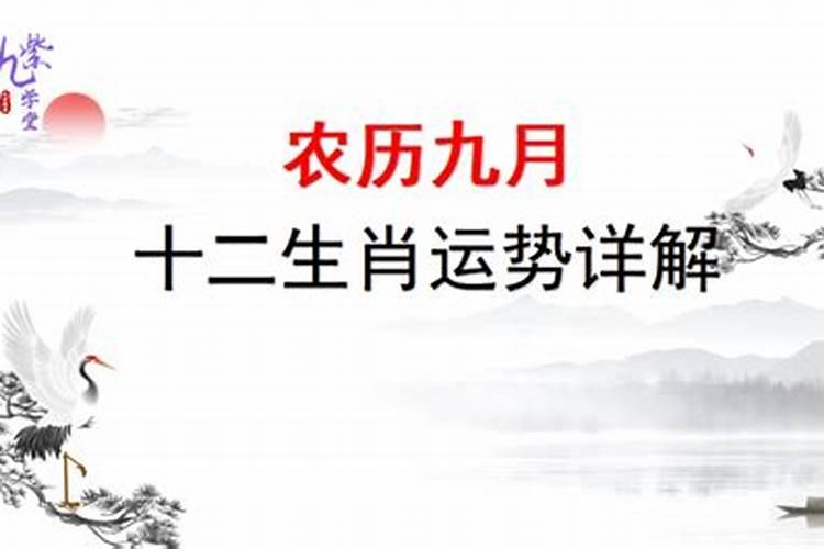 农历9月出生属羊人命好吗