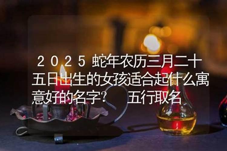 2025年属蛇人的全年每月运势如何