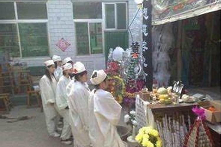 男属兔,女属狗,性格会相冲不？