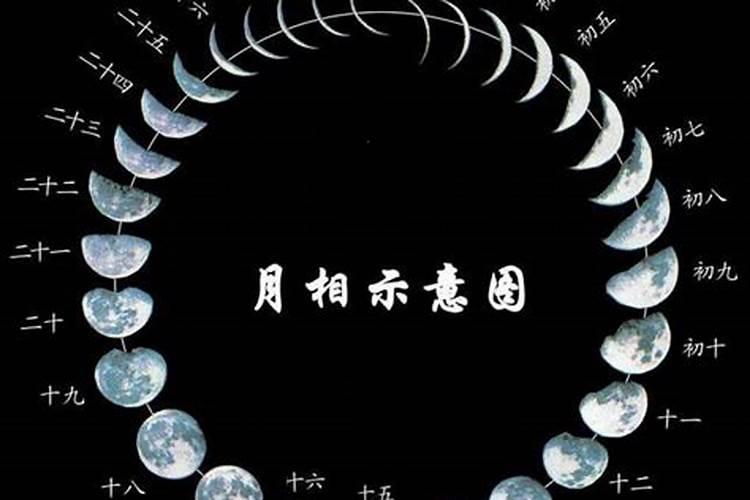 九月初九,也就是重阳节这晚的月亮是什么形状的？
