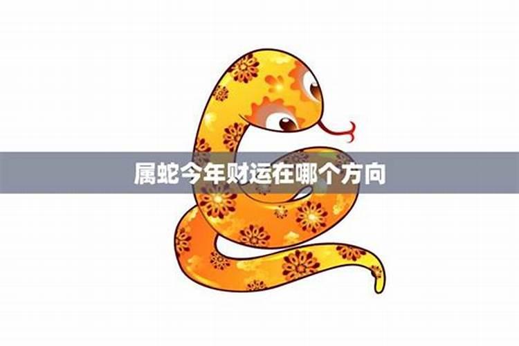什么叫值太岁什么意思