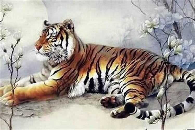父母属虎本命年生虎宝宝好不好 本命年生子不适合？