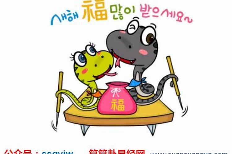 属蛇午时出生的命运之解析