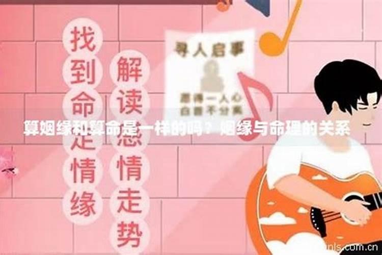 我的鼻子算不算挺的那一类