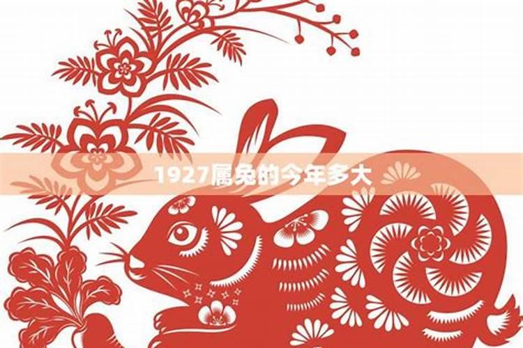 1927年兔2023年运势,2023年生肖兔运势解析