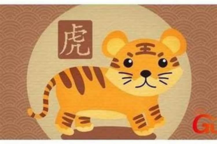 本命年虎年要注意什么呢？