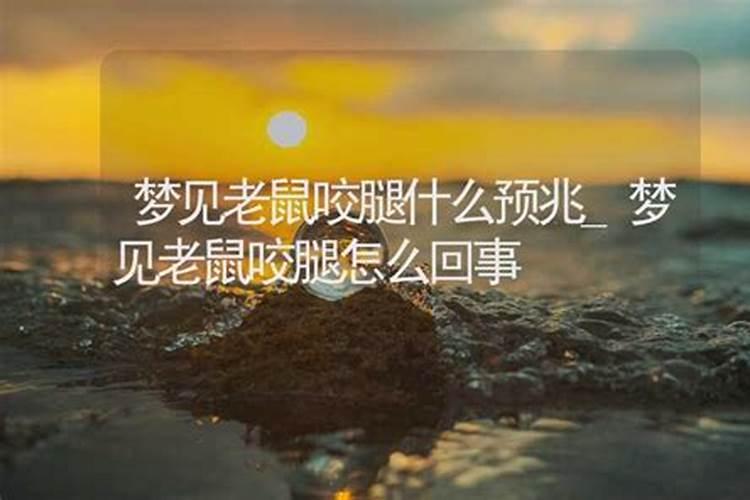 梦见老鼠咬腿的预兆