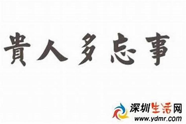 1975属兔女在2025年的每月运势