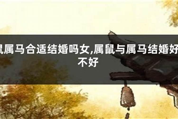 马本命年要注意什么？
