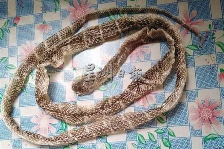 梦见蛇皮但是没看见蛇什么意思