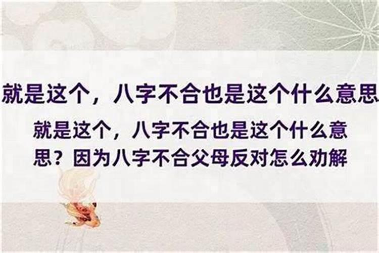 八字不合是什么意思