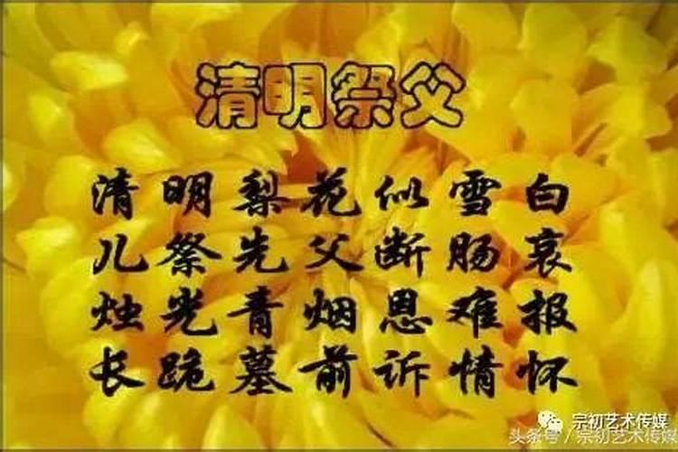 纪念袁隆平的作文