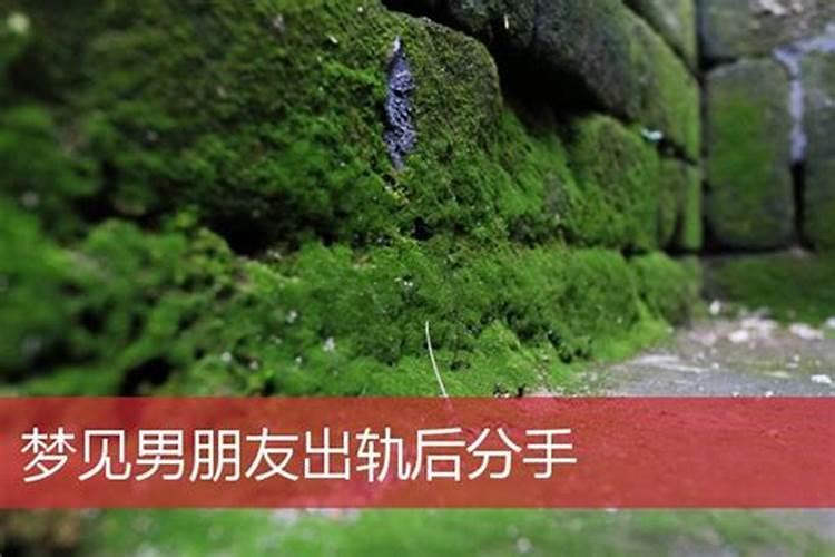 1981年属鸡女2025年每个月运势