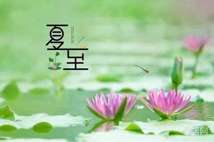 冬至的含义是什么 该节气的进食与养生