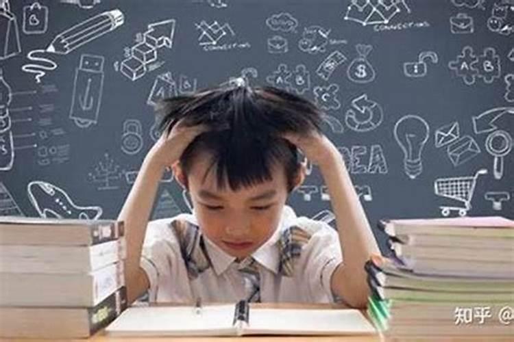属猴的2020年运势如何