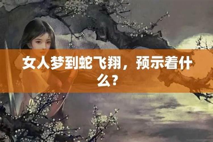 属鸡男和属狗女的适合做夫妻吗