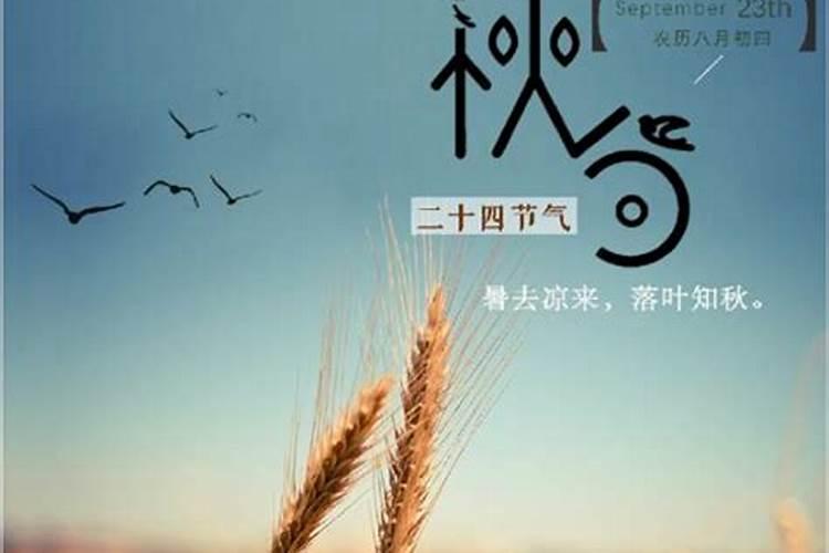 2025属蛇本命年运势怎么样女