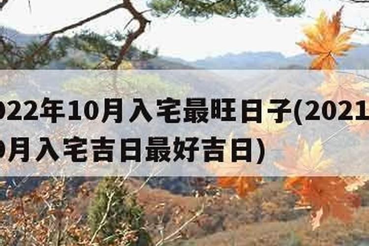 2025年犯太岁的生肖马怎么化解 2025年犯太岁的生肖马怎么躲星