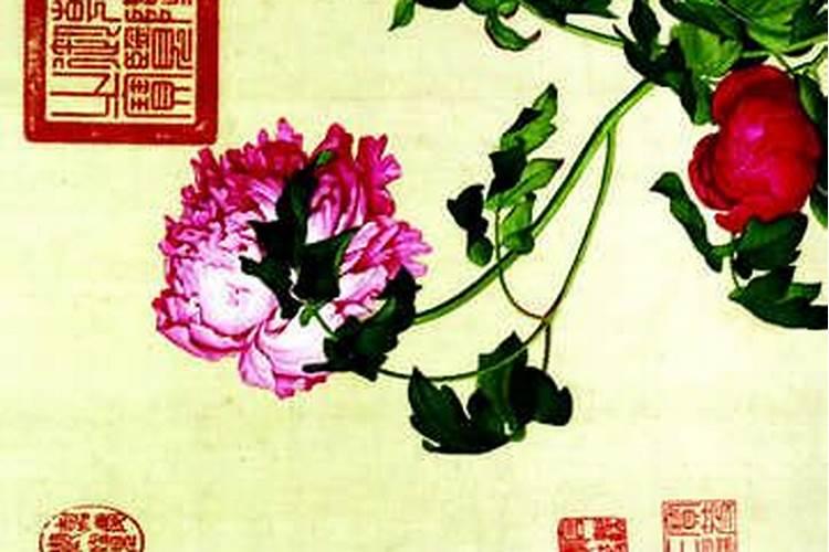 梦见横死的表弟来找我