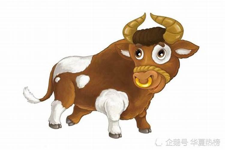 腊月出生属牛宝宝小名大全热门乳名精选