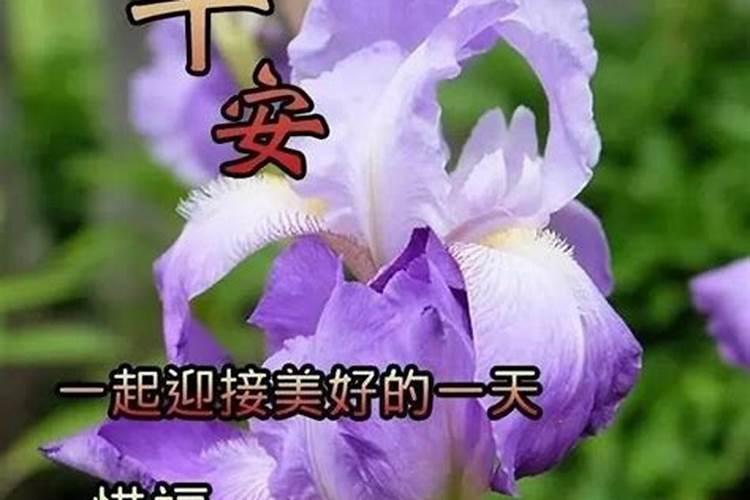 91羊命几月较苦？