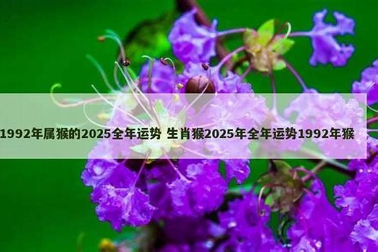 92年猴男2025年全年运势