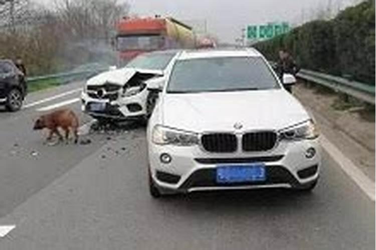 梦见出车祸死人是什么征兆