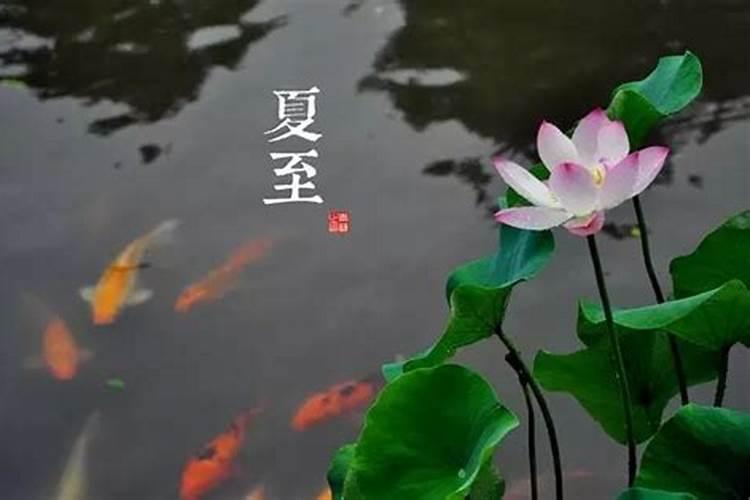 牛和牛相配婚姻如何属牛跟属牛结婚好不好